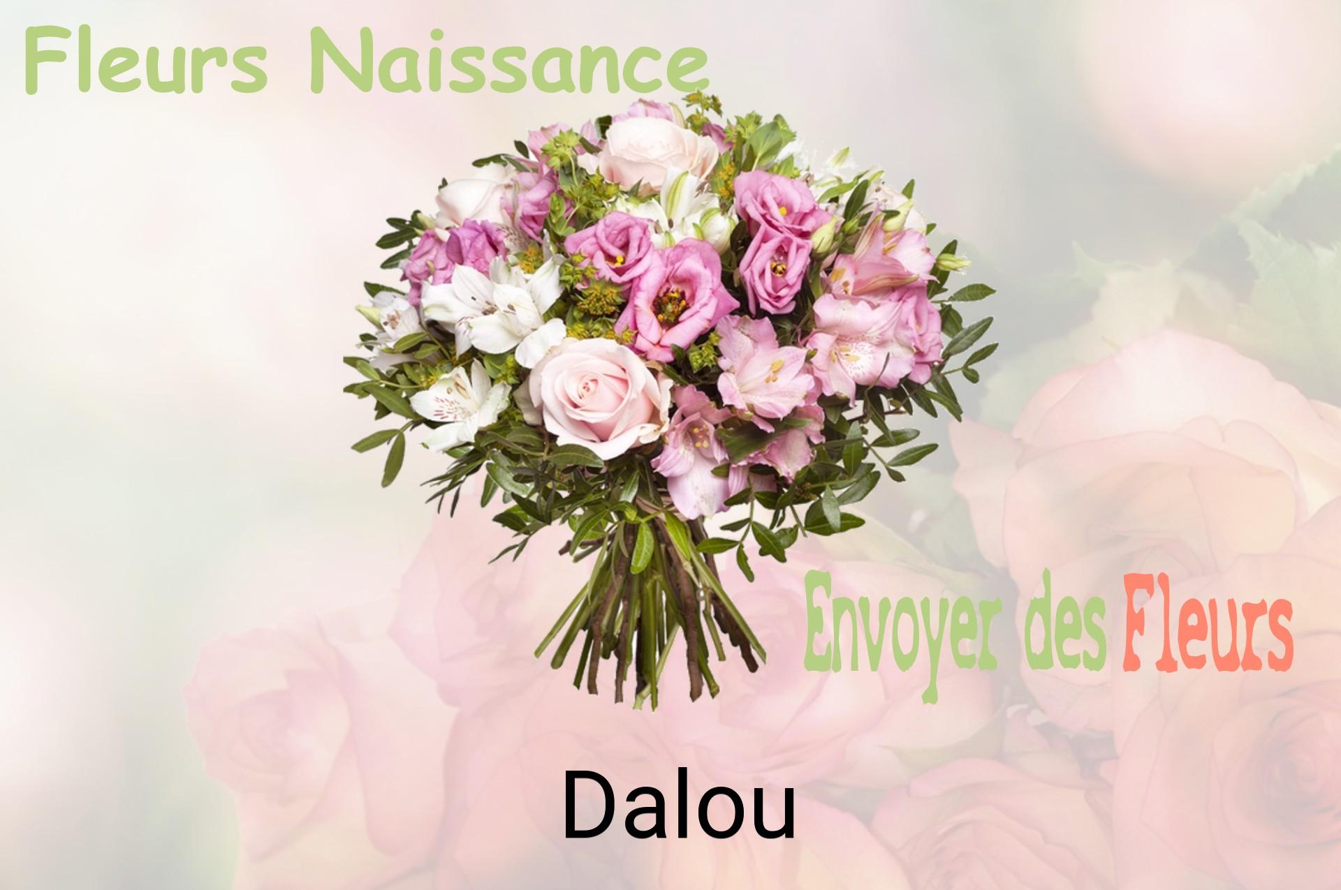 Bouquet de fleurs de naissance livré à Dalou